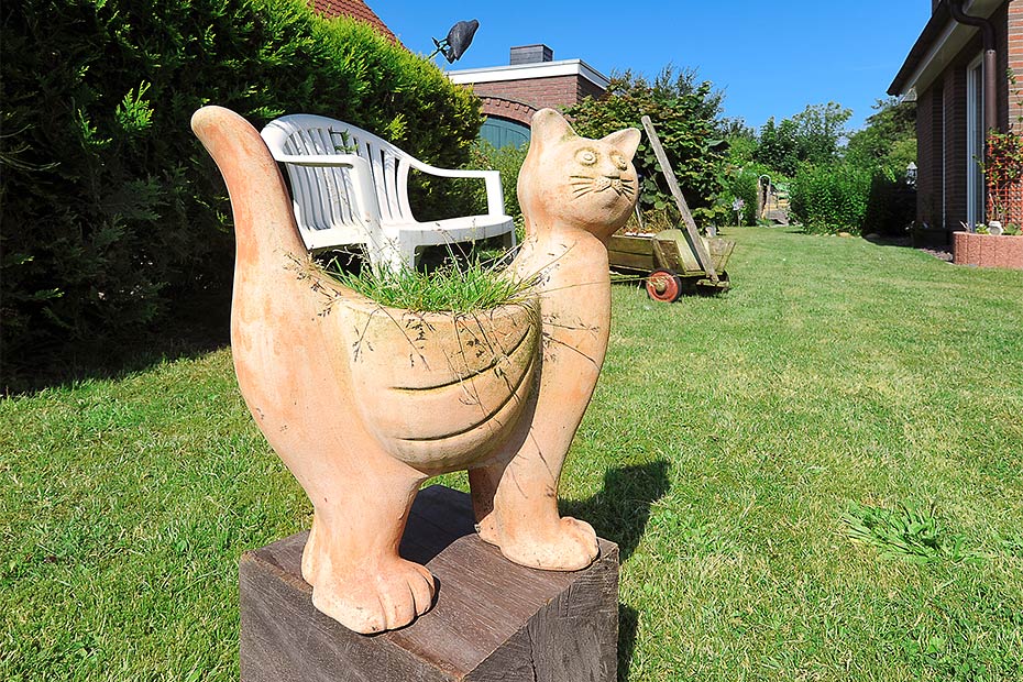 Foto aus der Fotogruppe 